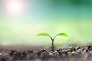 【九星気学】八白土星の特徴