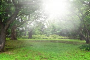 【九星気学】三碧木星の特徴